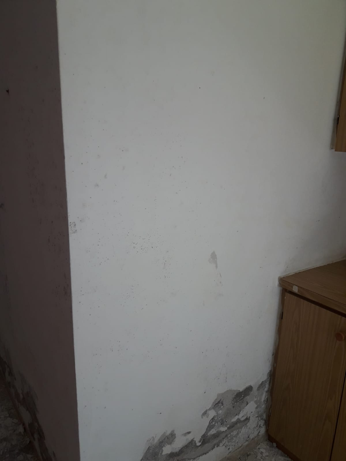 עבודות צבע ותיקונים