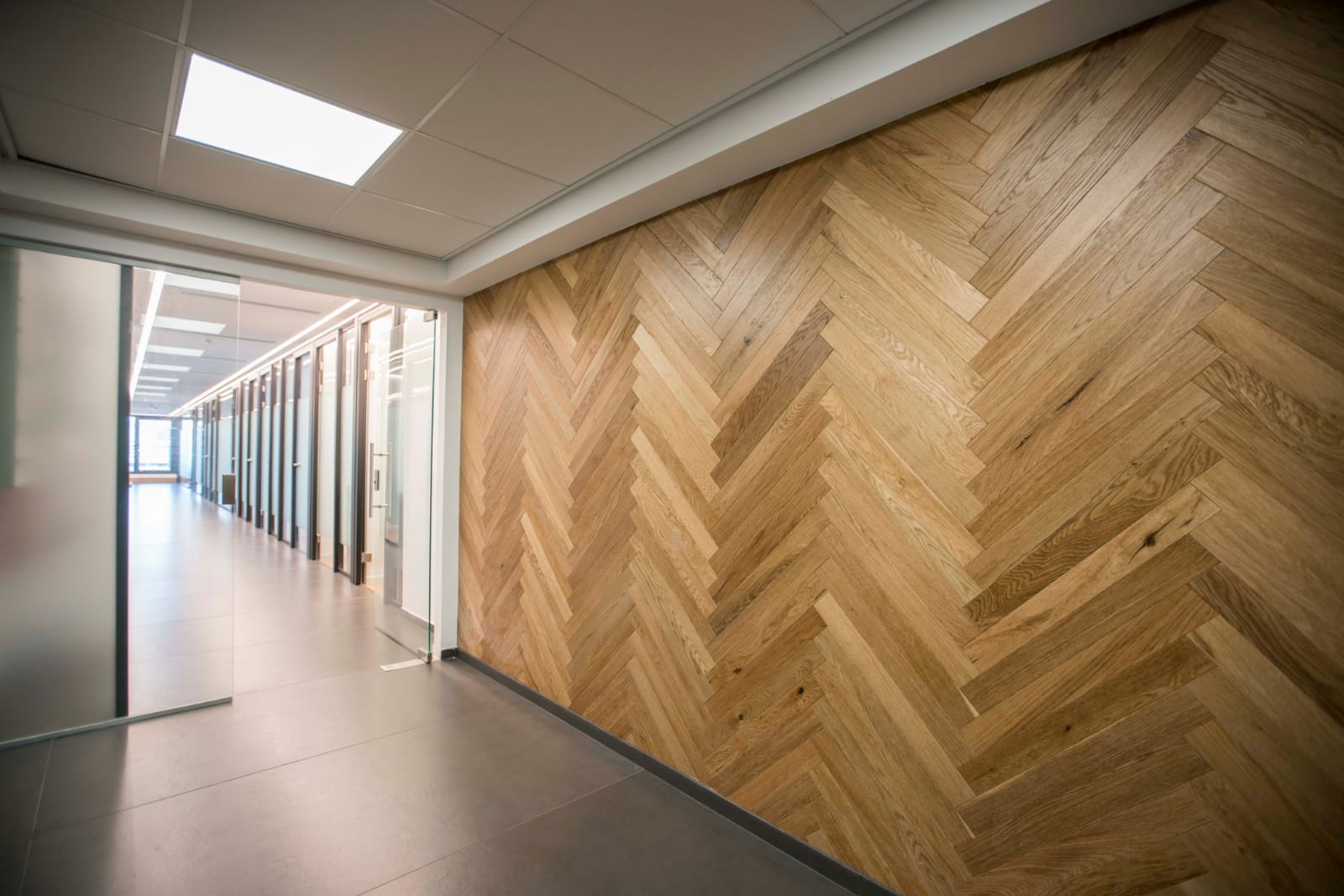 צילום מעבודה של פליקס טיליפמן