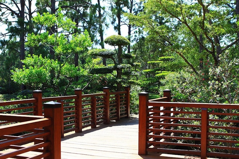 ××× × ××¤× ×ת