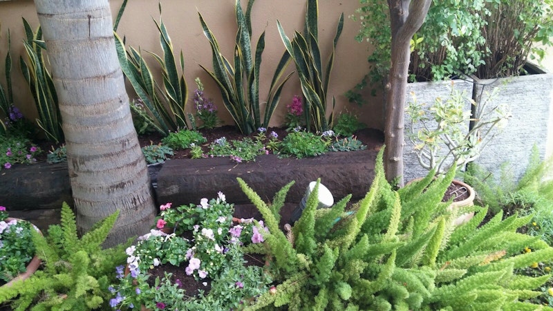 ××× × ××¢×צ×ת