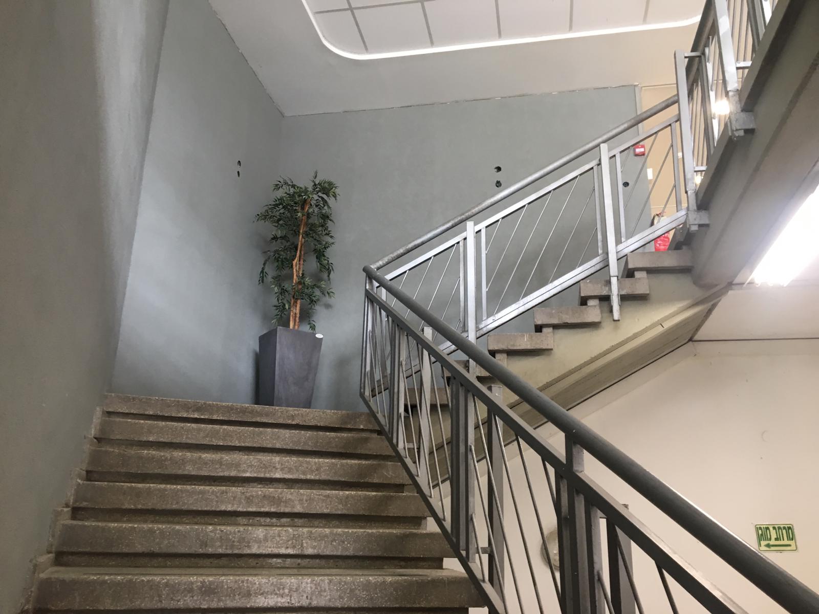 עבודות צבע וגבס