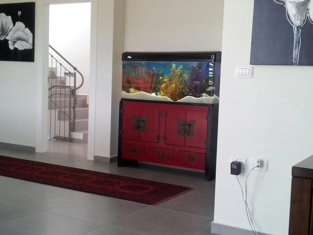 בניית בית פרטי