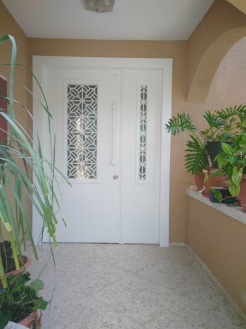 דלתות כניסה מעוצבות