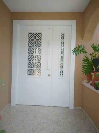 דלתות כניסה מעוצבות