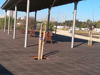 עבודות בעץ- פרויקטים ציבוריים