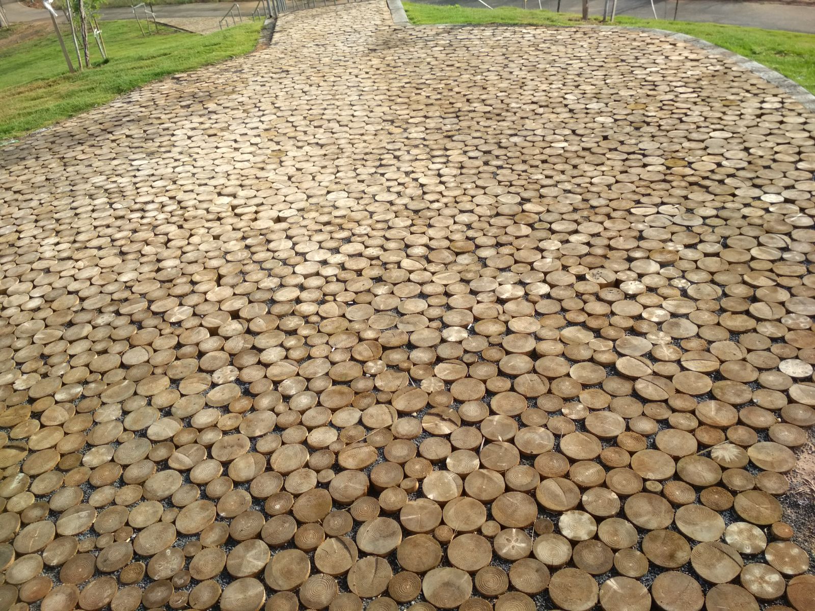 פארק נחל הדר בהוד השרון