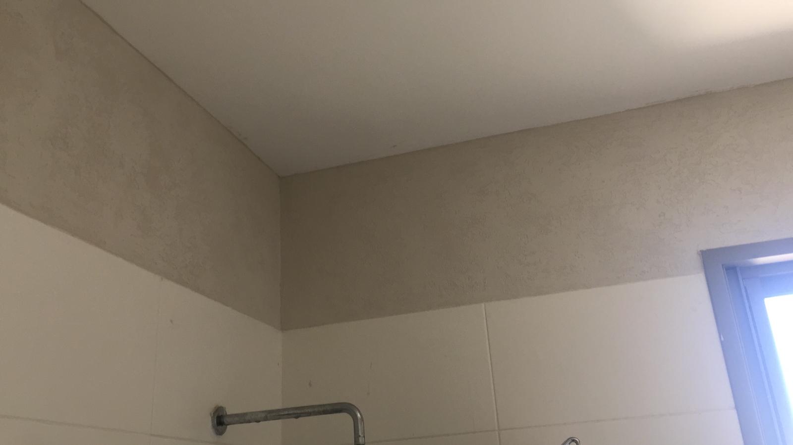 עבודות צבע בבית פרטי