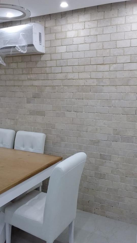 קיר בריקים בבית פרטי