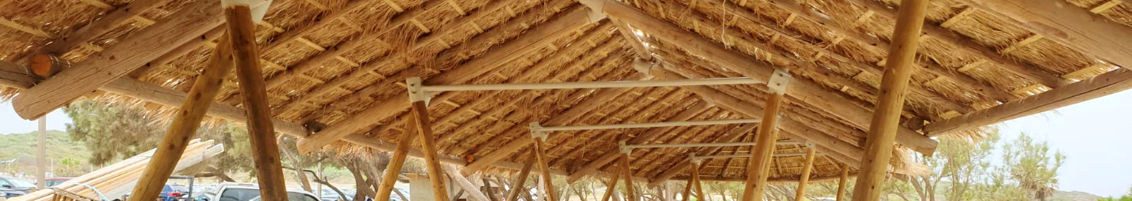 צילום מעבודה של עידו שררה