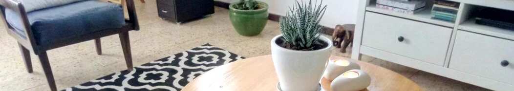 צילום מעבודה של רפאל שליו