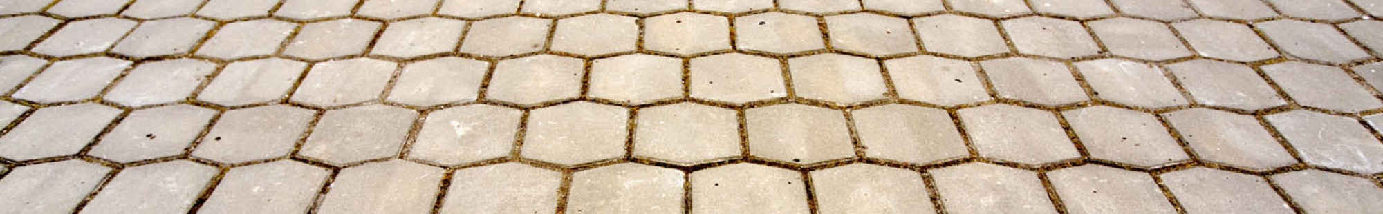 צילום מעבודה של שכיב גוברין