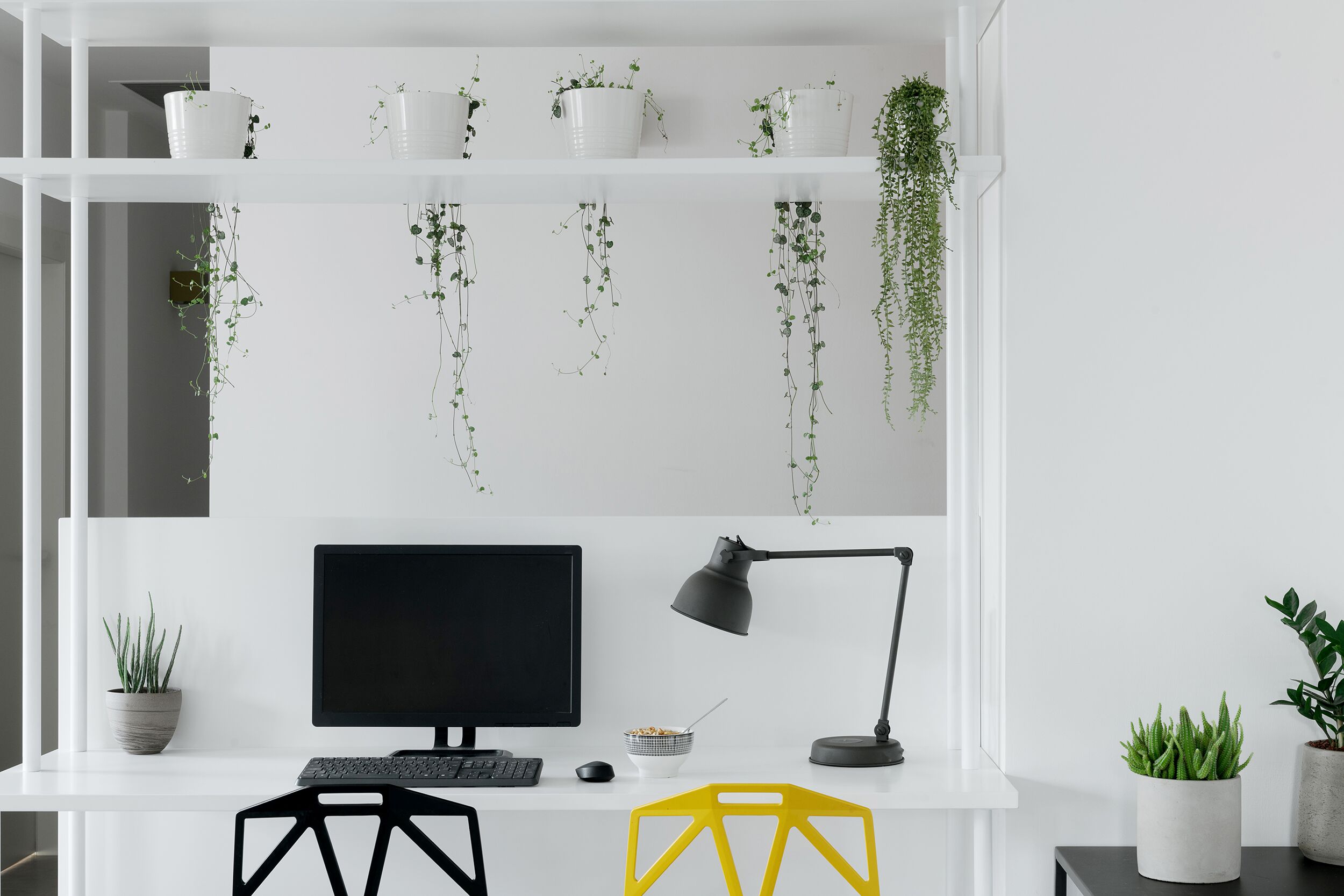 סדנת Scumpi - פרויקט גינדי/TLV