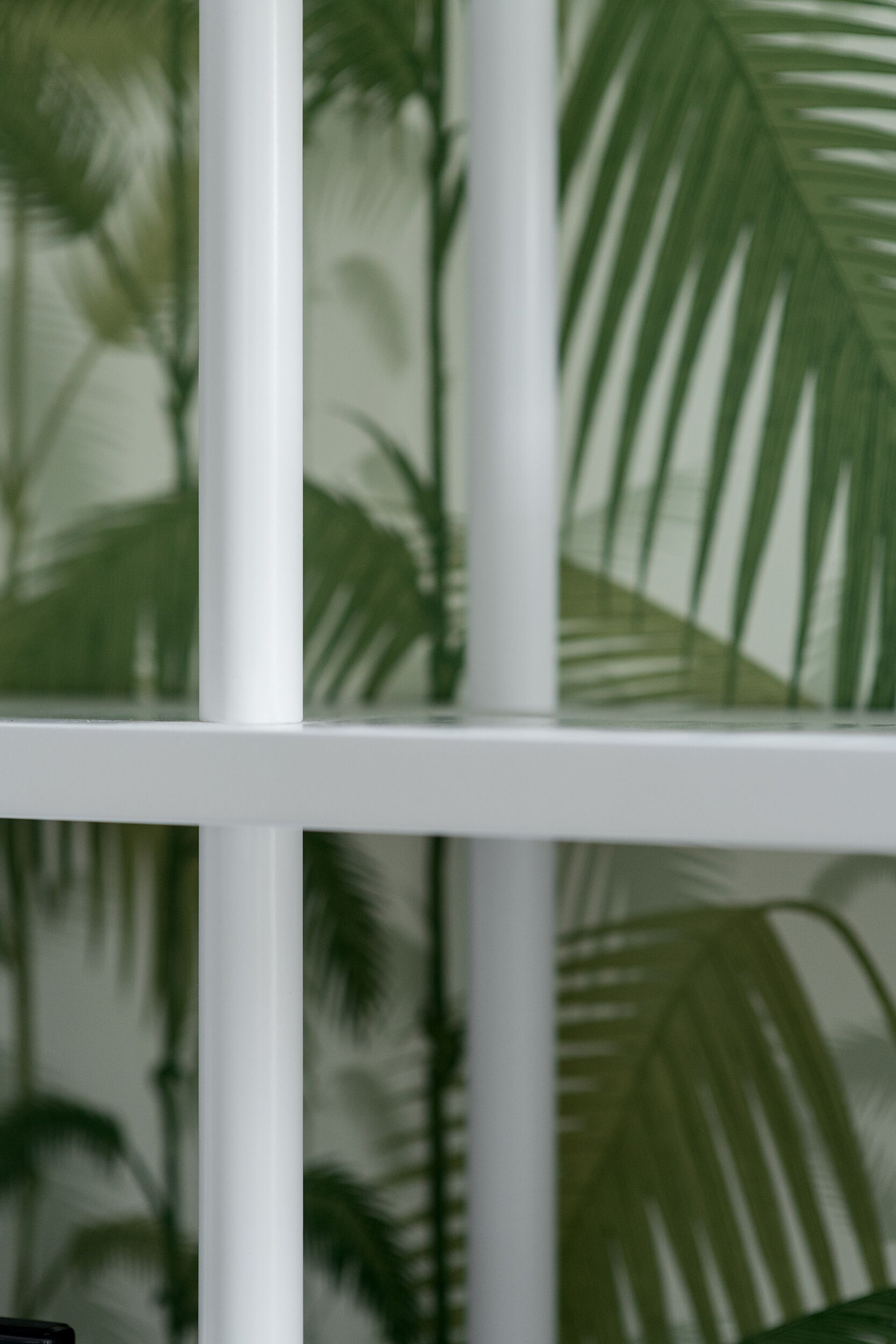 סדנת Scumpi - פרויקט גינדי/TLV