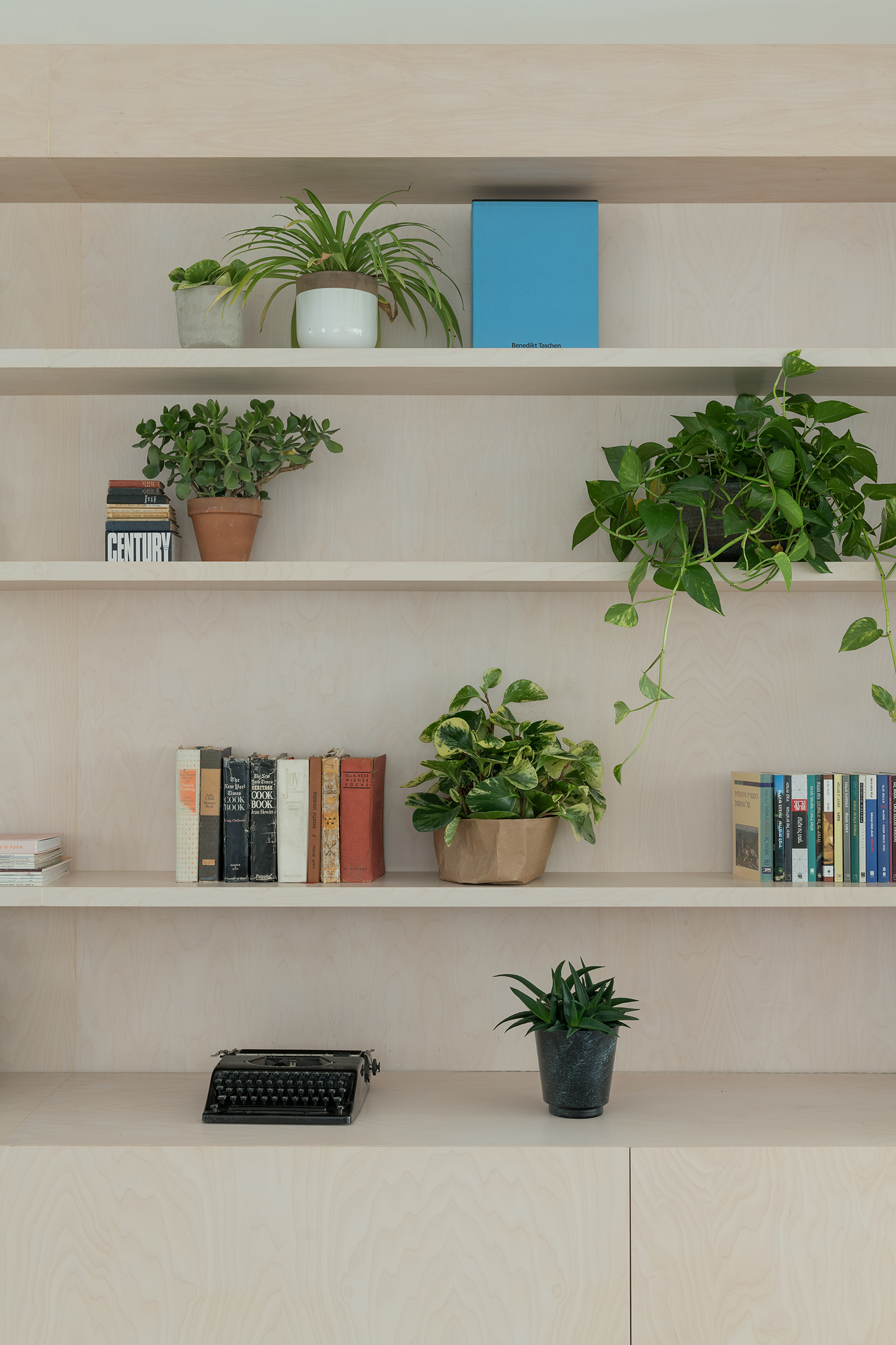 סדנת Scumpi - פרויקט פיירברג