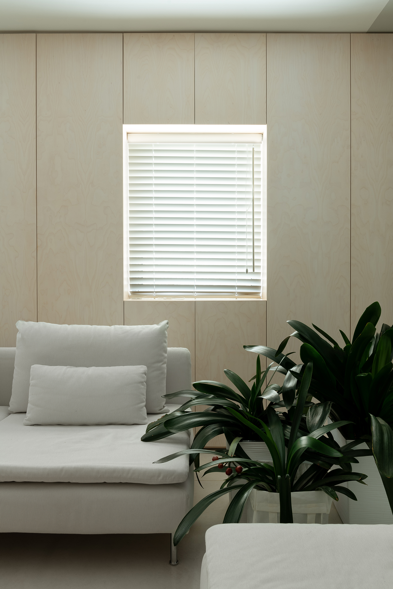 סדנת Scumpi - פרויקט פיירברג