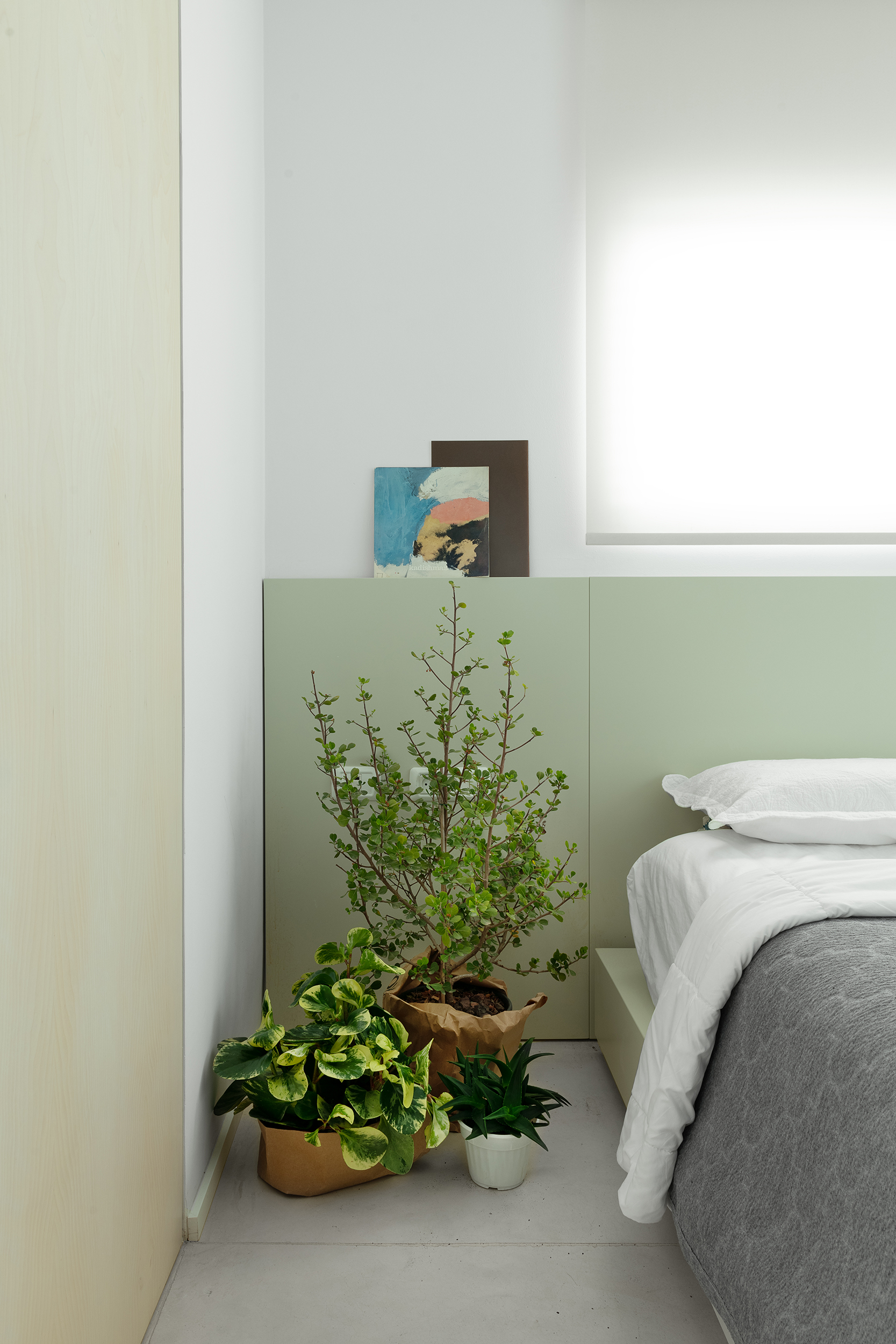 סדנת Scumpi - פרויקט פיירברג