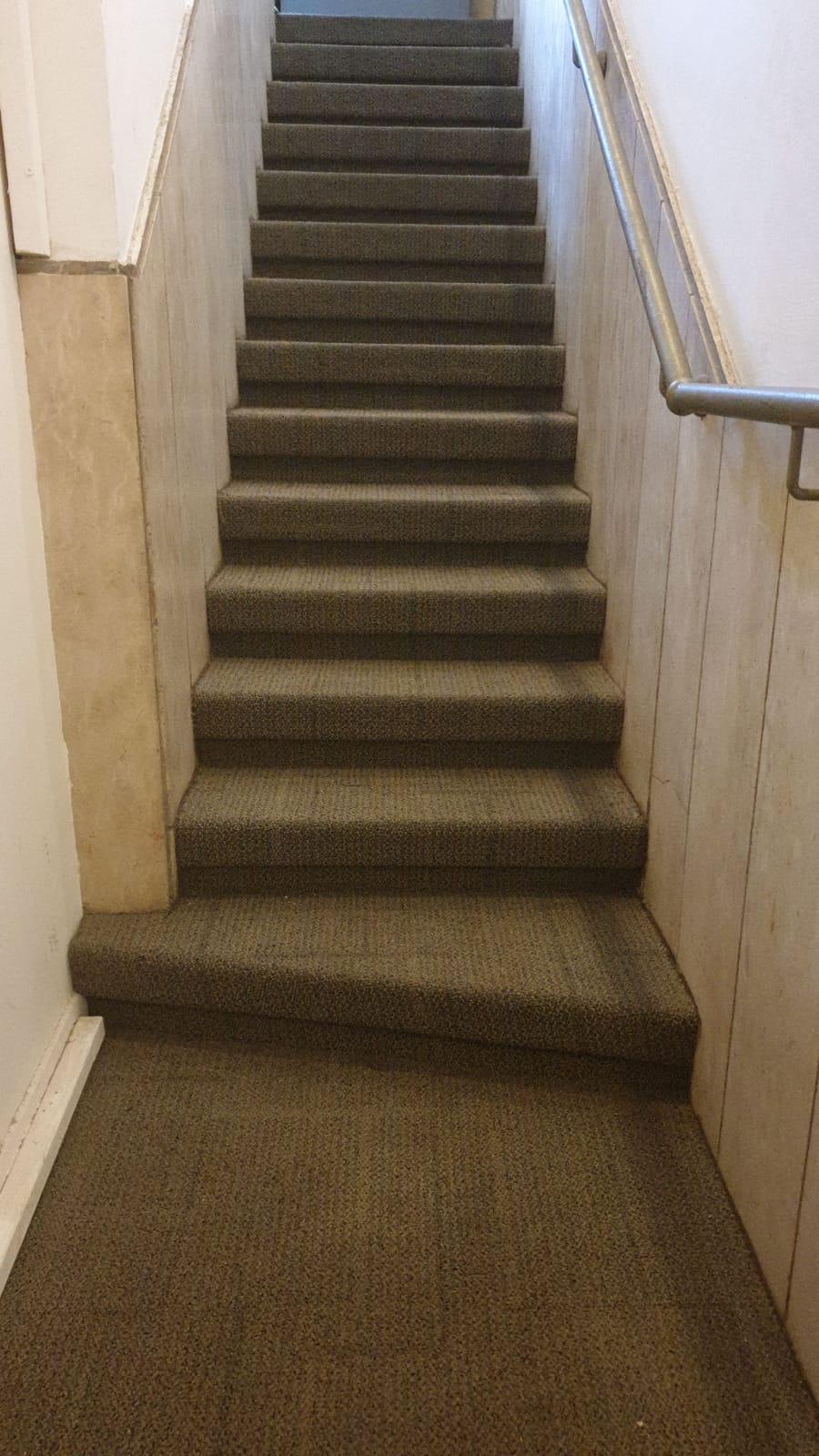 מגוון עבודות פרקטים