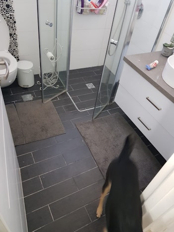 שיפוץ מקלחות