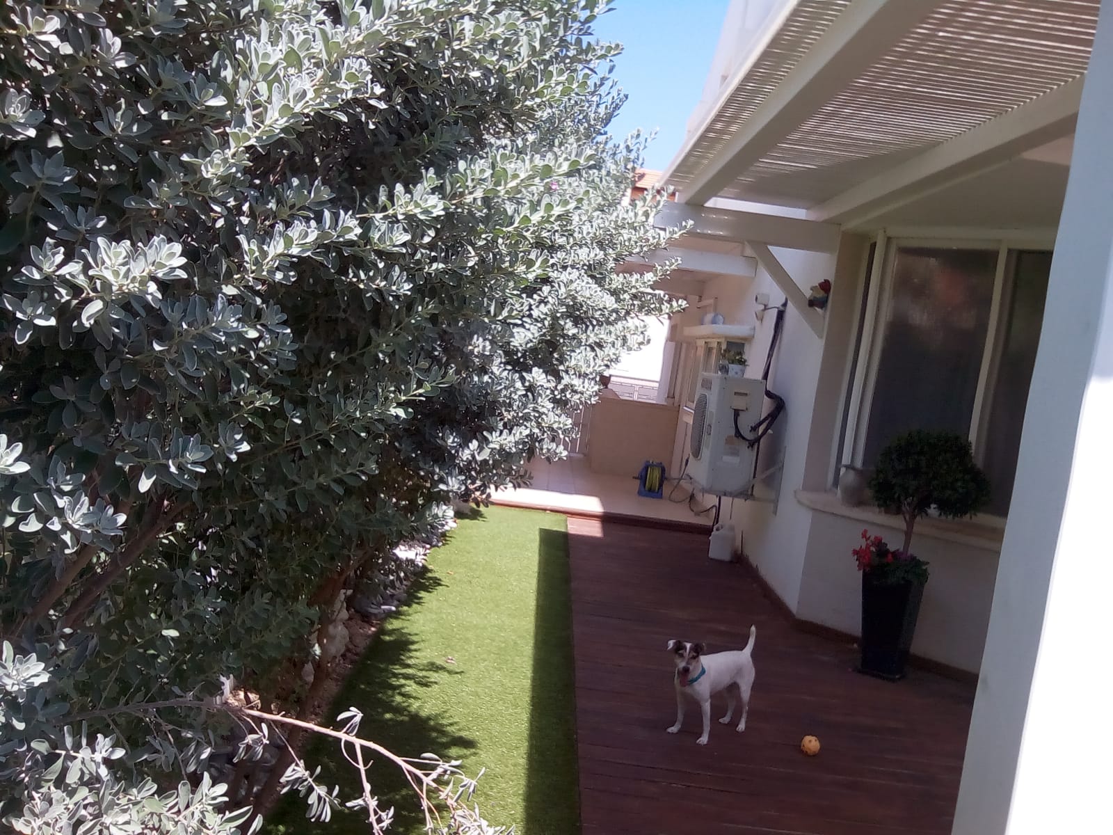 תוספות בניה ובניית שלד.