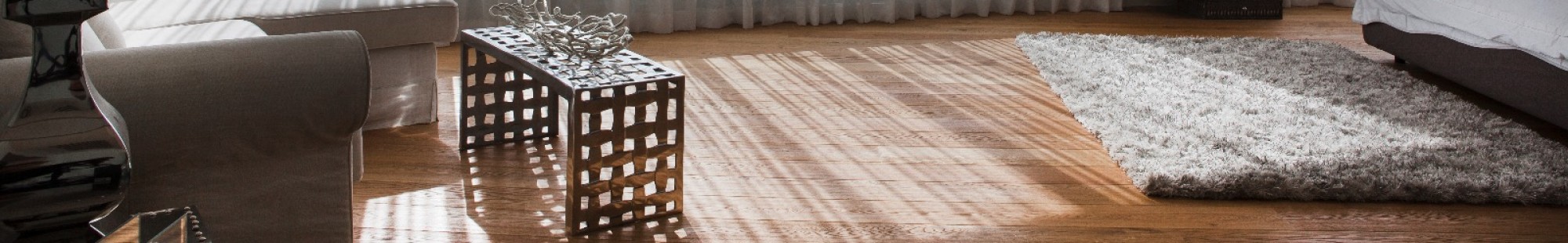 צילום מעבודה של welcome