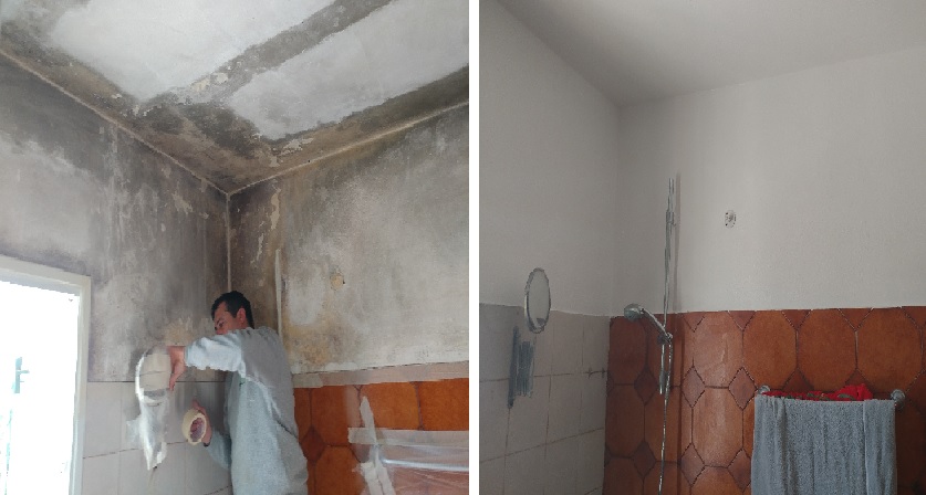 עבודות טיפול בעובש