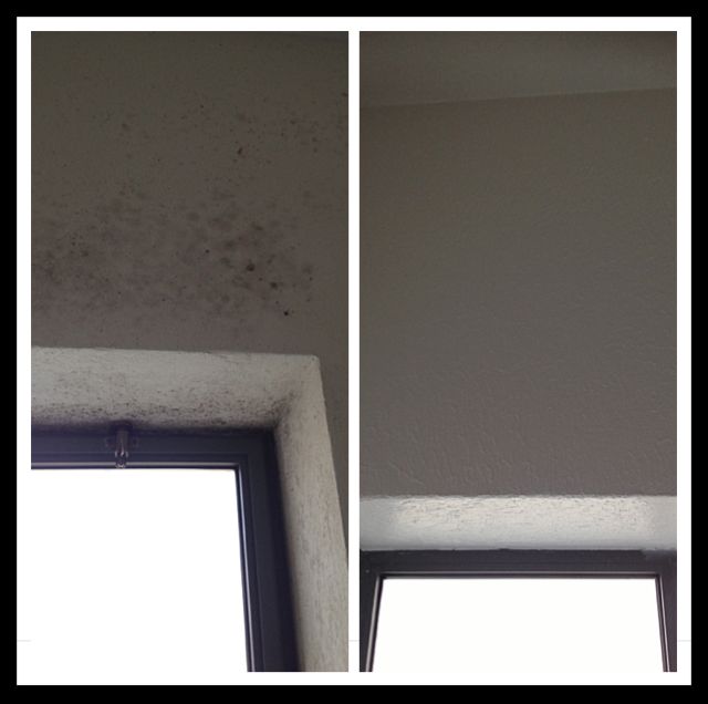 עבודות טיפול בעובש