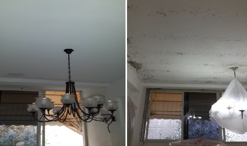 עבודות טיפול בעובש