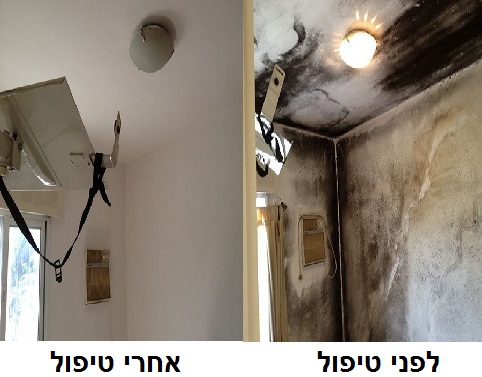 עבודות טיפול בעובש