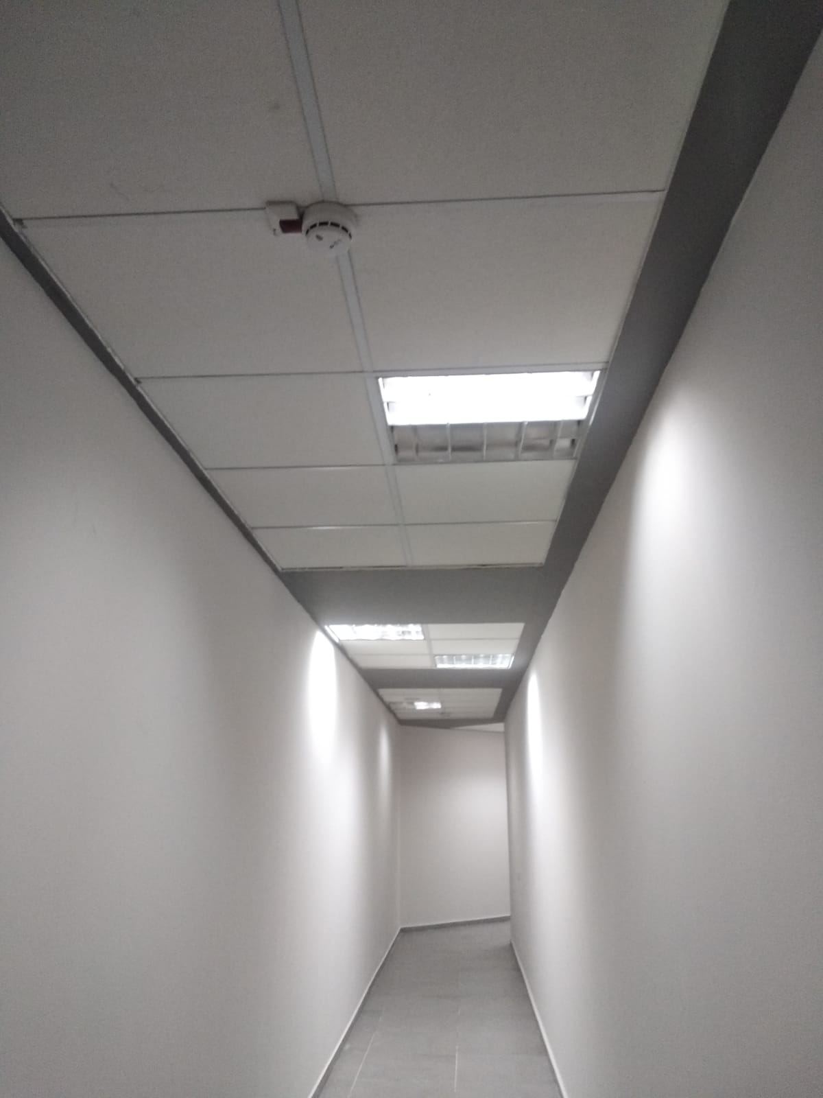 עבודת ריצוף גבס תקרה אקוסטית חשמל צבע