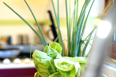 שיפוץ מטבח בית משפחת אבירם, טבעון