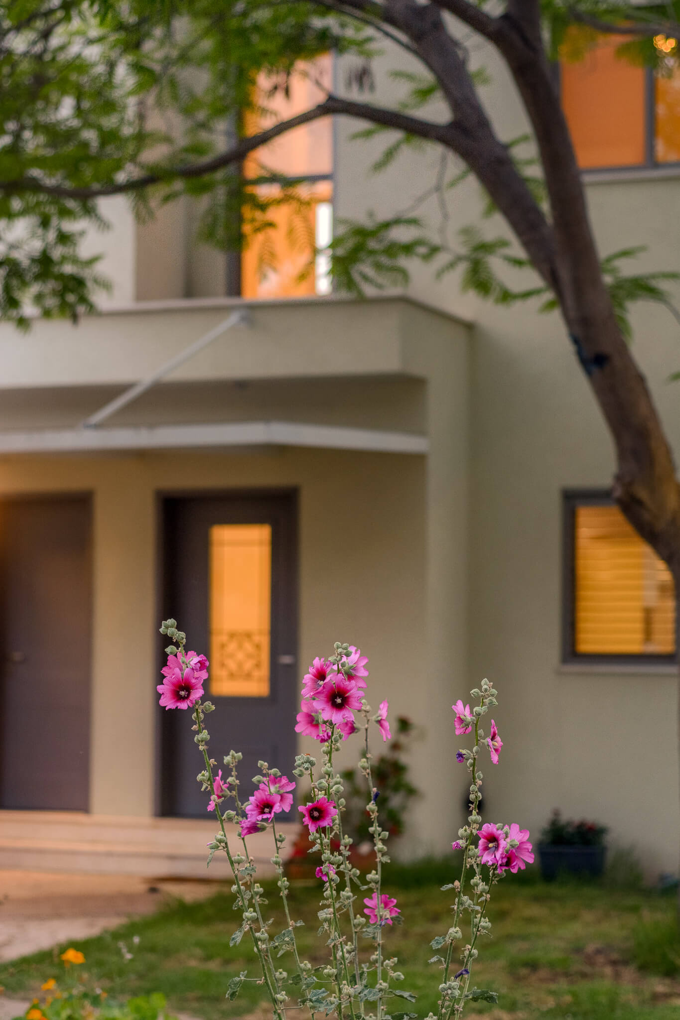 בית משפחת סיגל, אושה