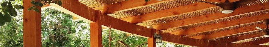 צילום מעבודה של דר ישראלי