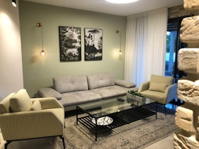 סלון עם קיר ירוק זית וסלון אפור ושטיח אפור