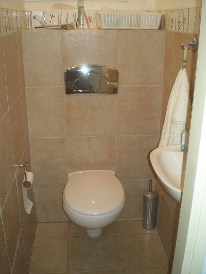 ניאגרות סמויות - אסלות תלויות.