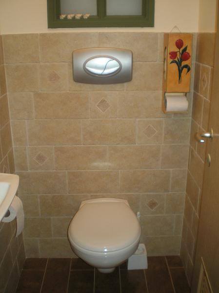 ניאגרות סמויות - אסלות תלויות.