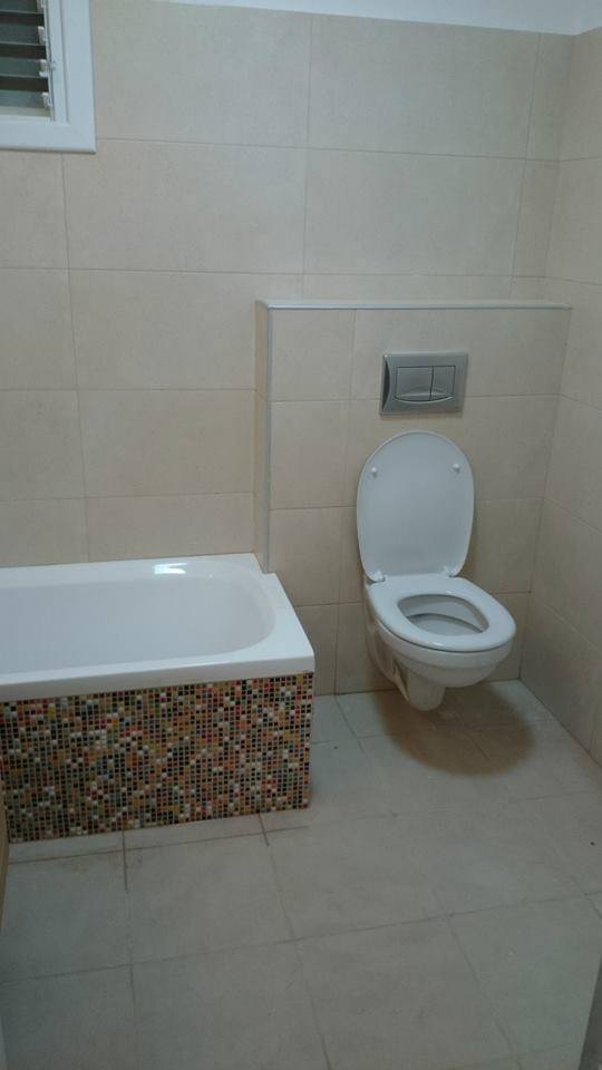 ניאגרות סמויות - אסלות תלויות.