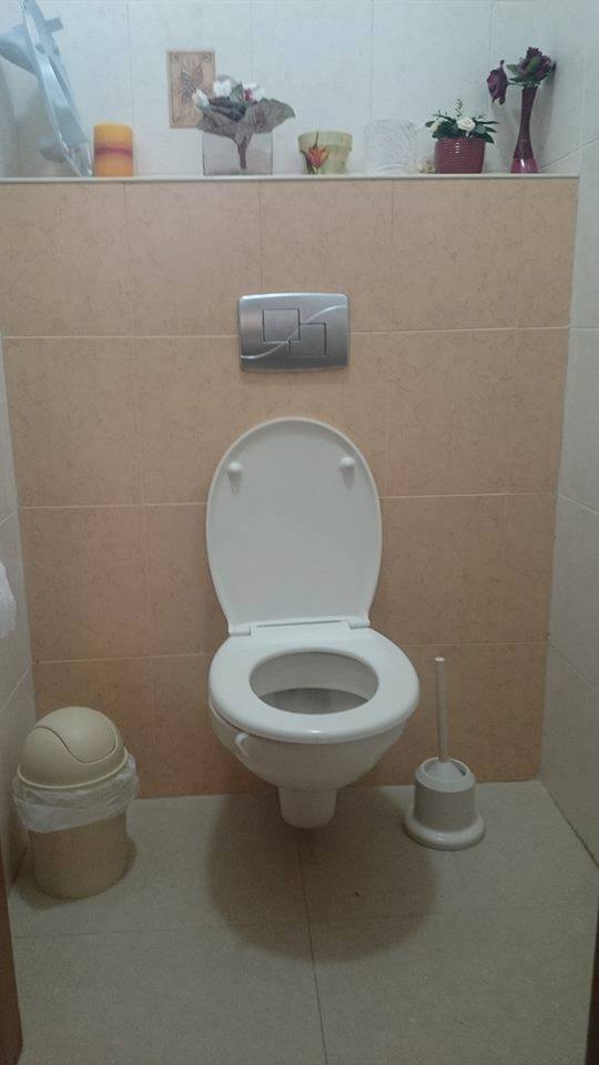 ניאגרות סמויות - אסלות תלויות.