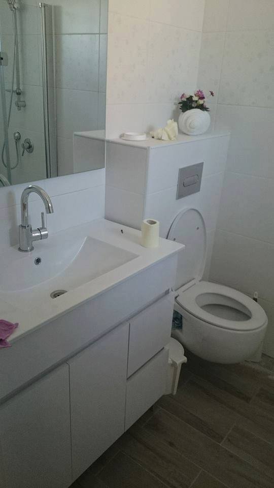 ניאגרות סמויות - אסלות תלויות.