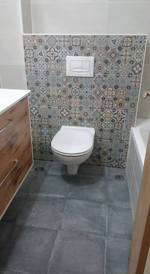 ניאגרות סמויות - אסלות תלויות.