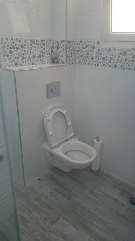 ניאגרות סמויות - אסלות תלויות.