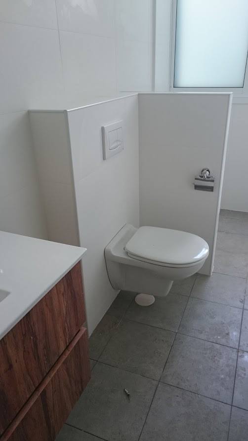 ניאגרות סמויות - אסלות תלויות.