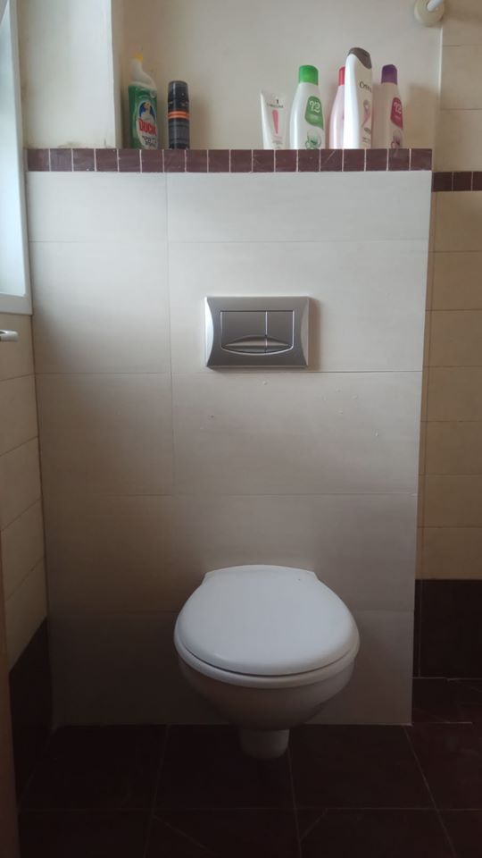 ניאגרות סמויות - אסלות תלויות.