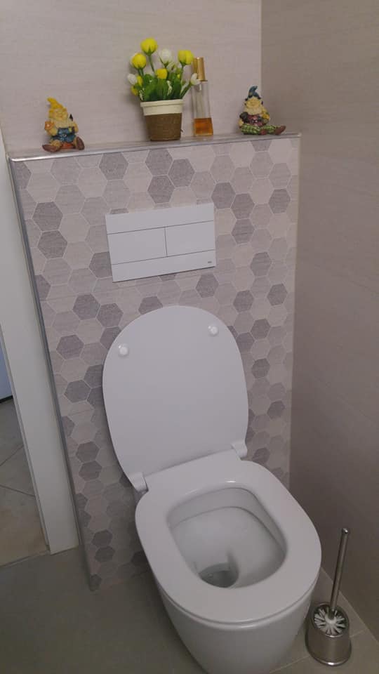 ניאגרות סמויות - אסלות תלויות.