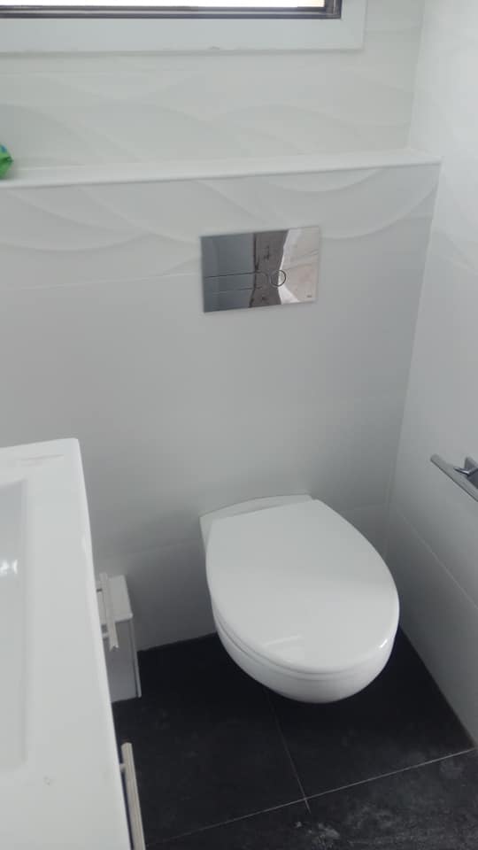 ניאגרות סמויות - אסלות תלויות.