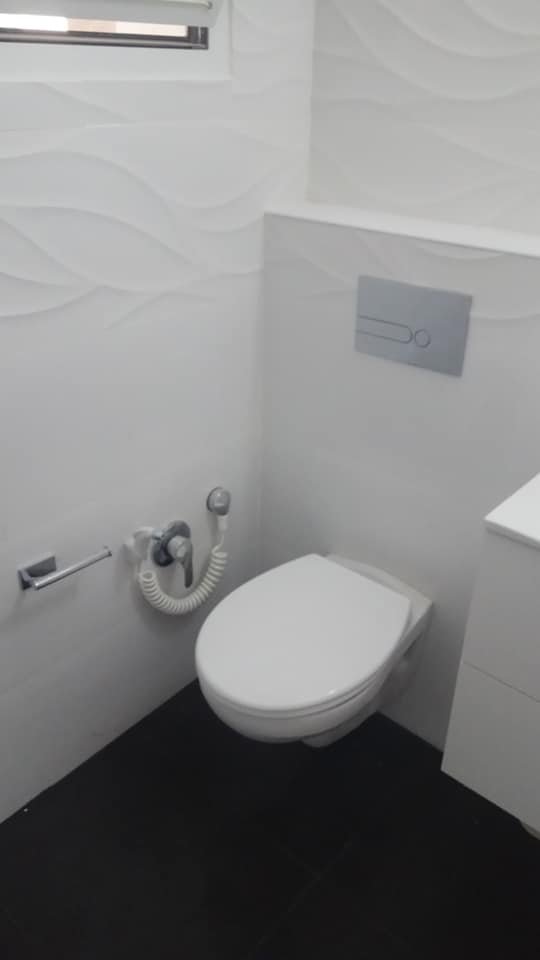 ניאגרות סמויות - אסלות תלויות.