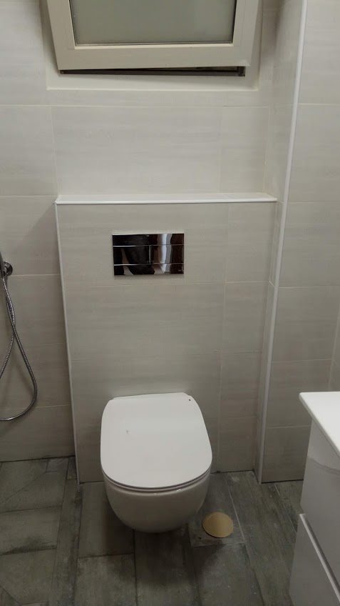 ניאגרות סמויות - אסלות תלויות.