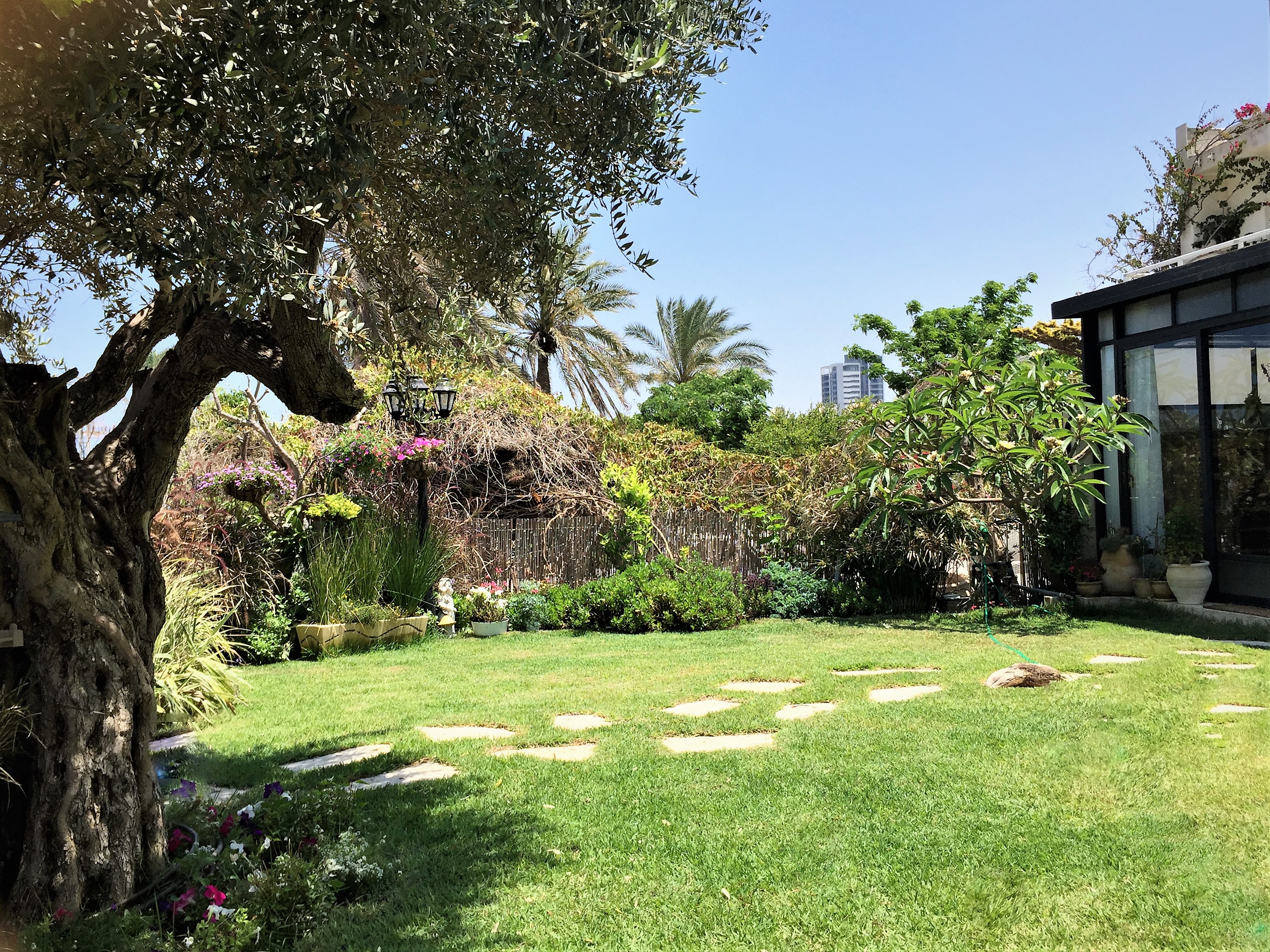 דירת גן על קו החוף