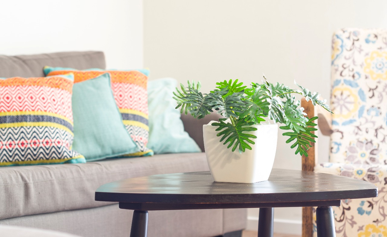 ×¡××× ×¢× ××¨×××ª ×¦××¢×× ×××ª.