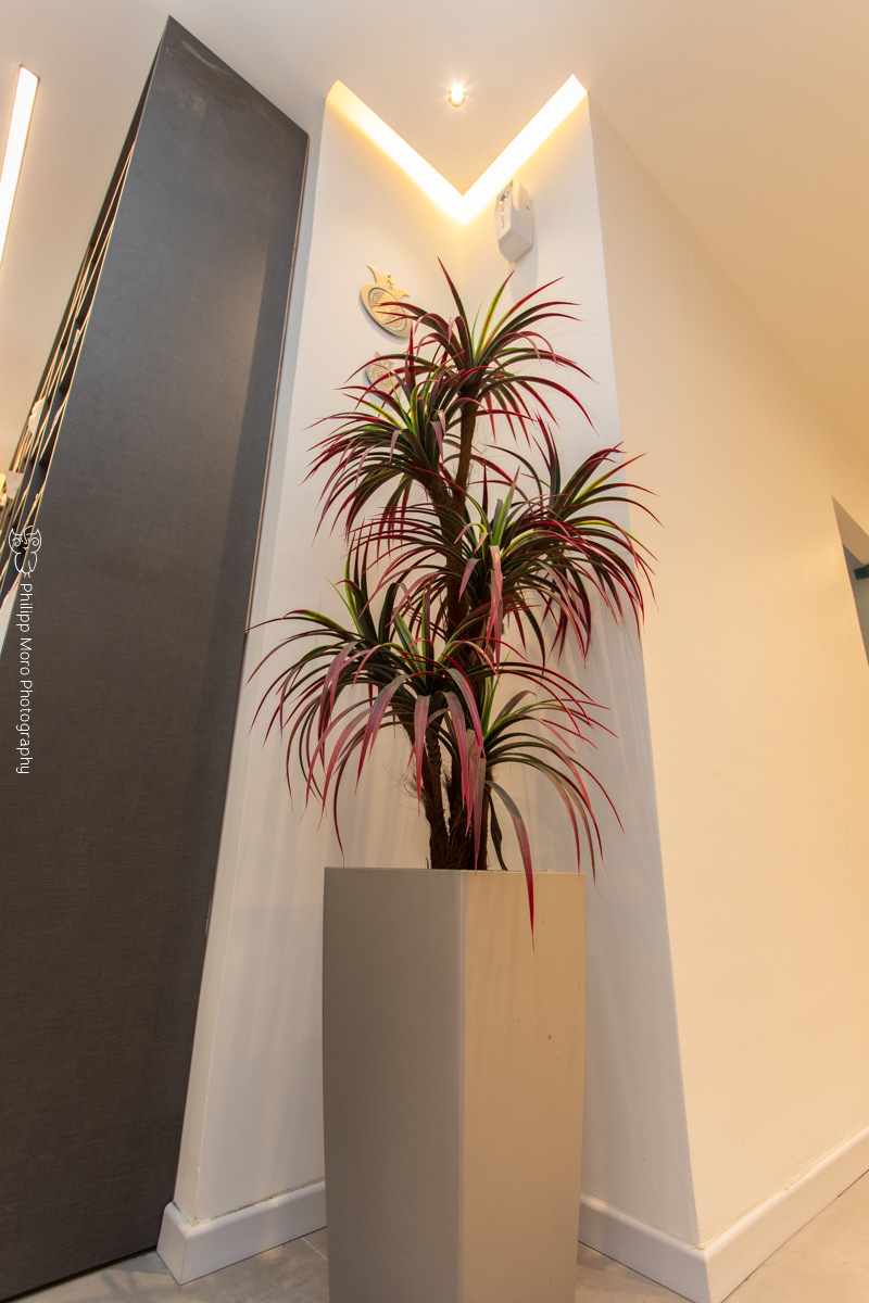 משרדי עו"ד בחיפה