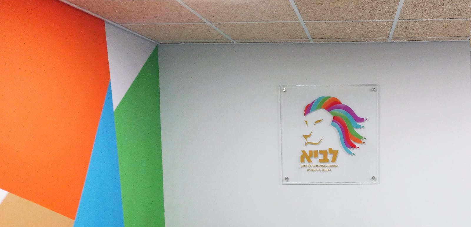 שיפוץ בעמותת לביא